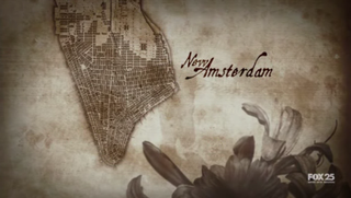 <i>New Amsterdam</i> (2008 TV series) American drama television series