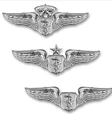 Official Flight Nurse badges worn on uniforms of those in the United States Air Force Official USAF Flight Nurse Badges.jpg