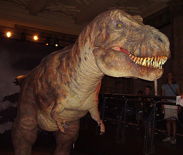 File:T rex 3 NHM2.jpg