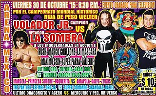 <span class="mw-page-title-main">CMLL Día de Muertos (2015)</span> Mexican professional wrestling supercard show