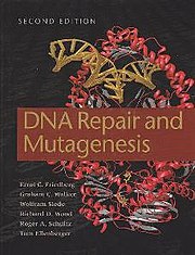 Dna Repair And Mutagenesis Wikipedia