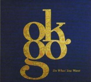 <span class="mw-page-title-main">Do What You Want (song)</span> 2006 single by OK Go