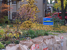 A lawn sign in the 2006 Municipal Election in Toronto Lawnsign.jpg