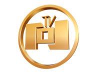 NTV 101 BiH Logo.png