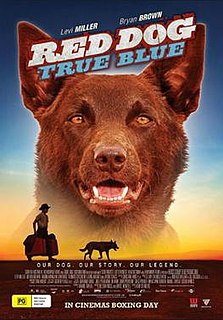 <i>Red Dog: True Blue</i> 2016 film directed by Kriv Stenders