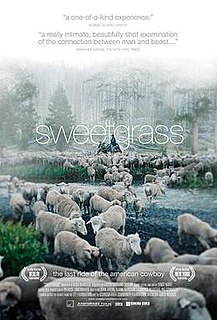 <i>Sweetgrass</i> (film) 2009 documentary film by Lucien Castaing-Taylor