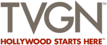 TVGN logo, used from April 15, 2013 to January 14, 2015 TVGN logo 2013.png