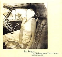 Try to Remember Everything by Bic Runga.jpg