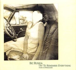 <i>Try to Remember Everything</i> 2008 compilation album by Bic Runga