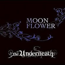 Underneath Moonflower.jpg