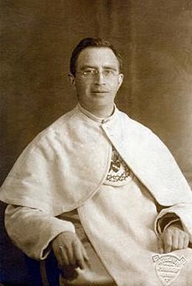 Eustáquio van Lieshout Dutch priest and pastor in Brazil