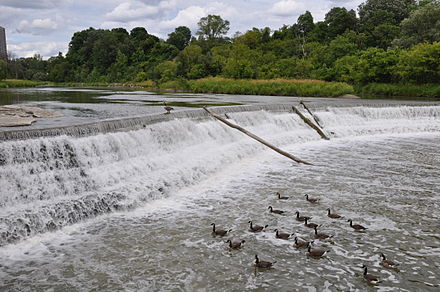 A weir was built on the Humber River near Raymore Drive to lessen the risk of a similar catastrophic flood.
