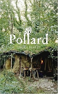 <i>Pollard</i> (novel)