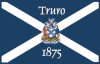 Vlag van Truro