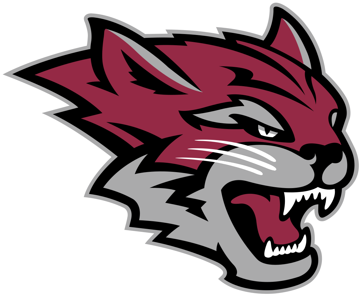 Image result for chico state athletics logo