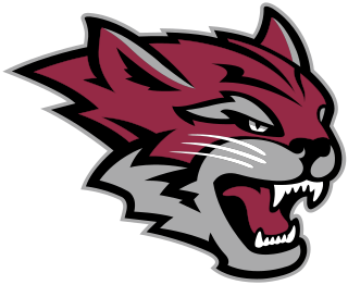 <span class="mw-page-title-main">Chico State Wildcats</span>