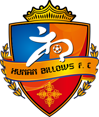 <span class="mw-page-title-main">Hunan Billows F.C.</span> Chinese football club