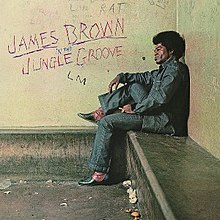 In the Jungle Groove - Wikipedia