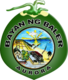 Official seal of Baler