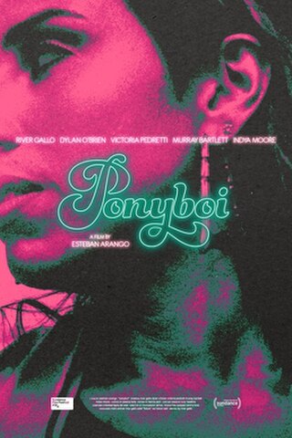 <i>Ponyboi</i> 2024 American drama film