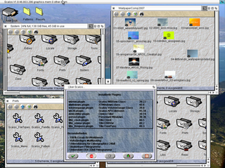 <span class="mw-page-title-main">Scalos</span> Widget toolkit and window manager for AmigaOS