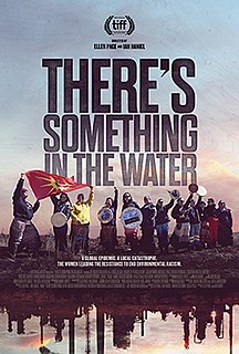 <i>Theres Something in the Water</i> 2019 Canadian documentary film