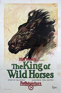 <i>The King of Wild Horses</i> 1924 film