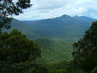 <span class="mw-page-title-main">Endau-Rompin National Park</span>