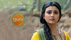 Zee-Bangla-Rimli-Serial.jpg