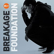 Breakage foundation cover art.jpg