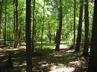 <span class="mw-page-title-main">Evansburg State Park</span>