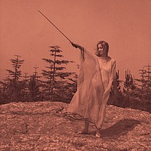 Image result for ii unknown mortal orchestra