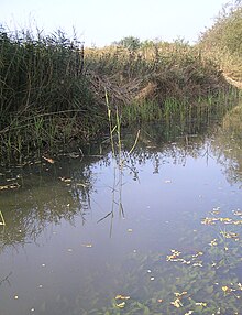 Picture of Fowlmere from nature trail Fowlmerere1.JPG