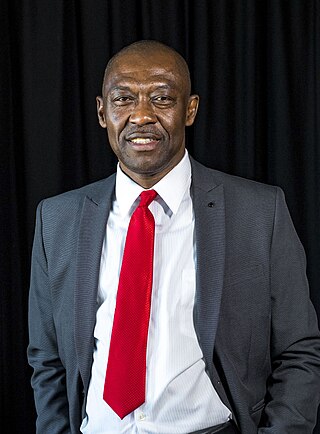 <span class="mw-page-title-main">Kenneth Ikechukwu Ozoemena</span> Nigerian physical chemist