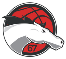 Former Riders logo Leicester Riders.png