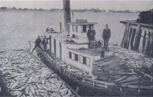 Kijang (steamer) dengan salmon.png