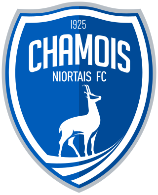 <span class="mw-page-title-main">Chamois Niortais F.C.</span> Association football club in France