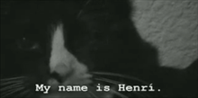 Henri Le Chat Noir Wikipedia
