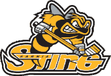 The original Sarnia Sting jersey logo SarniaSting.gif