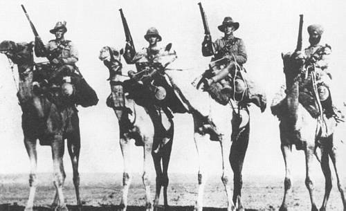 A posed photograph of Australian, British, New Zealand and Indian Camel Corps troopers