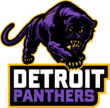 Detroit Panthers logo