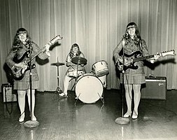 The Shaggs in 1968