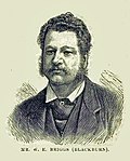 Briggs W-e-briggs-in-1880.jpg