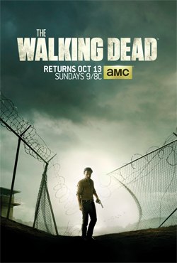 Promotional poster and home media cover art featuring Rick Grimes