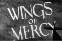 Wings of Mercy.png