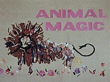 Animal Magic (TV series).jpg