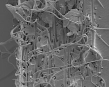 SEM image of the fracture surface of a polyvinyl alcohol long fiber - epoxy matrix composite - the section thickness is about 12 micrometers Epoxy-pva composite.jpg