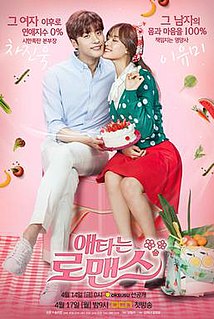 <i>My Secret Romance</i> South Korean 2017 TV series