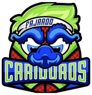 Cariduros de Fajardo Professional basketball team based in Fajardo, Puerto Rico