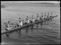 Hale School Rowing Team 1938